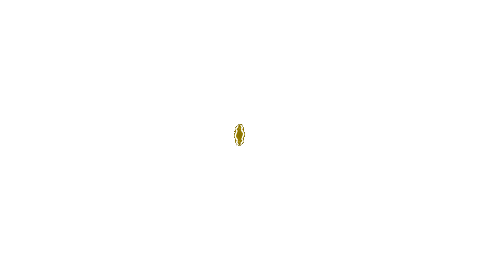 TAYSENTOTO Logo